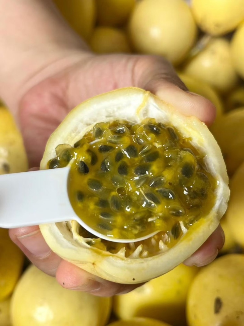 钦蜜百香果