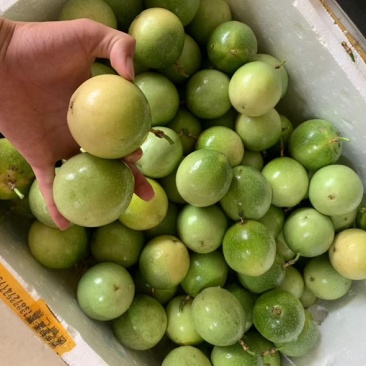 钦蜜百香果