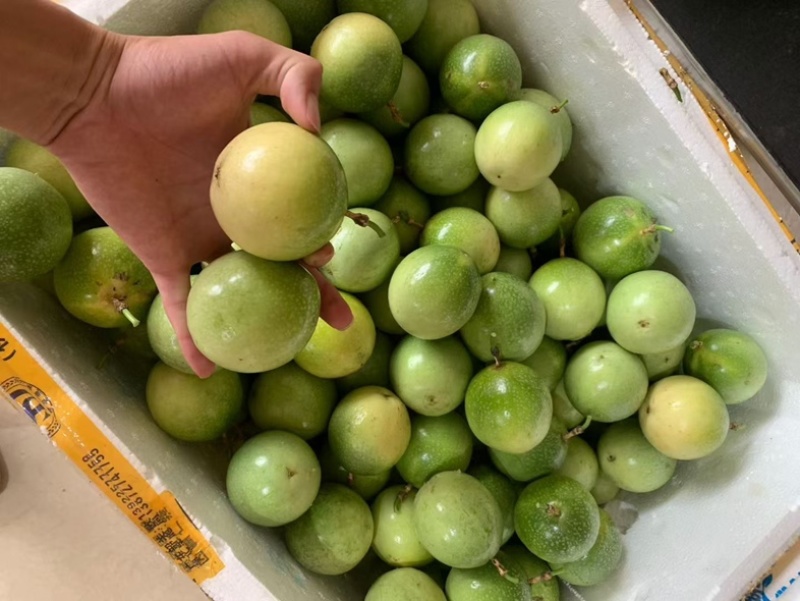 钦蜜百香果