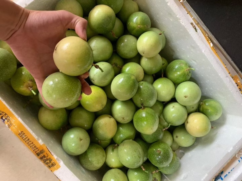 钦蜜百香果