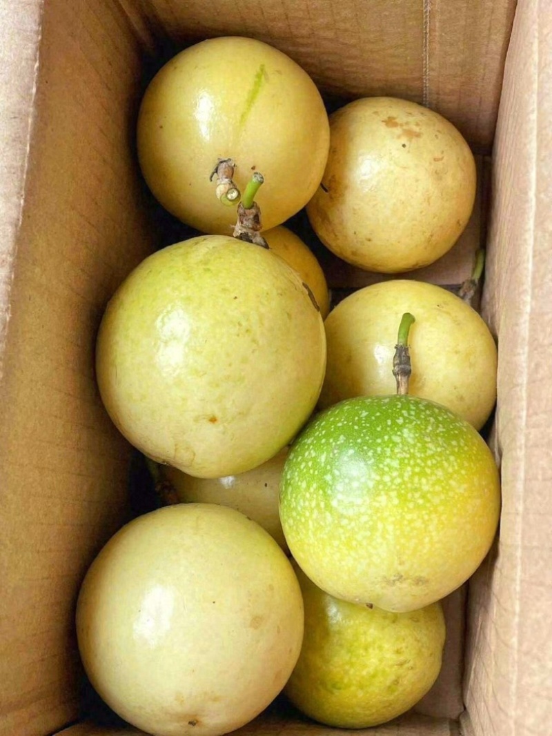 钦蜜百香果
