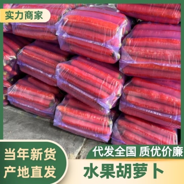 大荔秤杆红萝卜胡萝卜水果萝卜基地种植货源充足全国发货