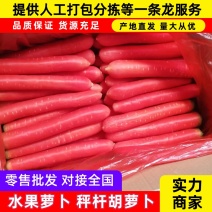 陕西精品红胡萝卜大量上市中条小条各种规格包装产地直销