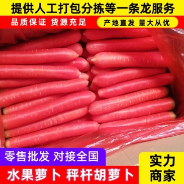 陕西精品红胡萝卜大量上市中条小条各种规格包装产地直销
