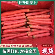 陕西精品沙土地水果红萝卜新鲜供应产地直发欢迎批发