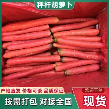 陕西精品沙土地水果红萝卜新鲜供应产地直发欢迎批发
