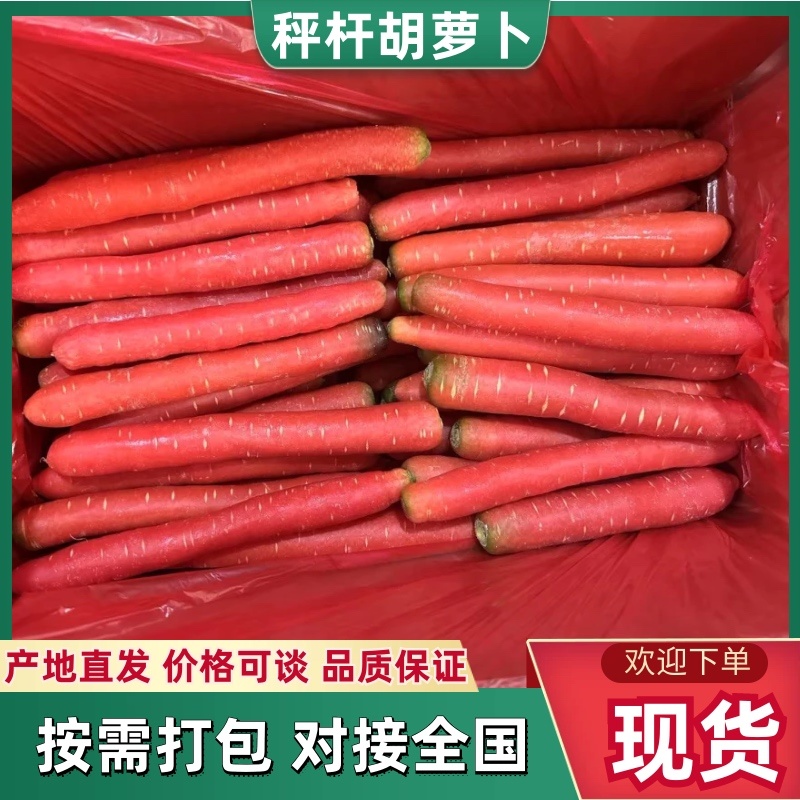 陕西精品沙土地水果红萝卜新鲜供应产地直发欢迎批发