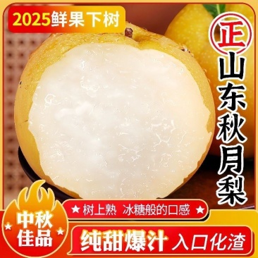 专业代收代发团队