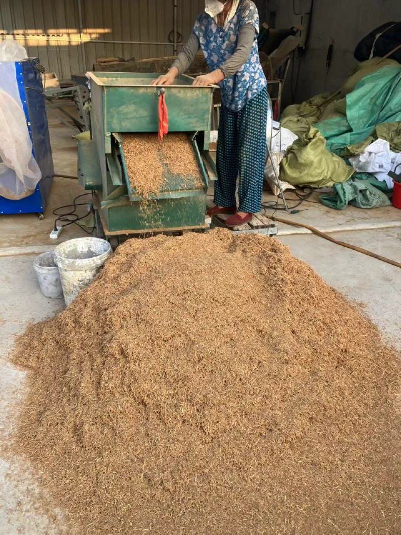 白薇零售批发全国发货种植基地源头厂家无中间商赚差价
