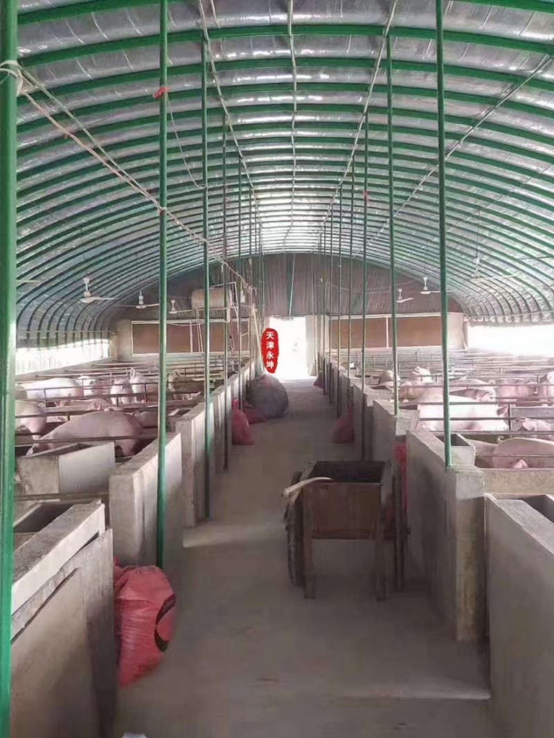 弯管厂家直发大量有货保质保量价格实惠欢迎购买
