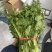 特色香料野菜野果新鲜发货价格优美