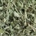 木豆叶粉云南红河大基地合作社种植***