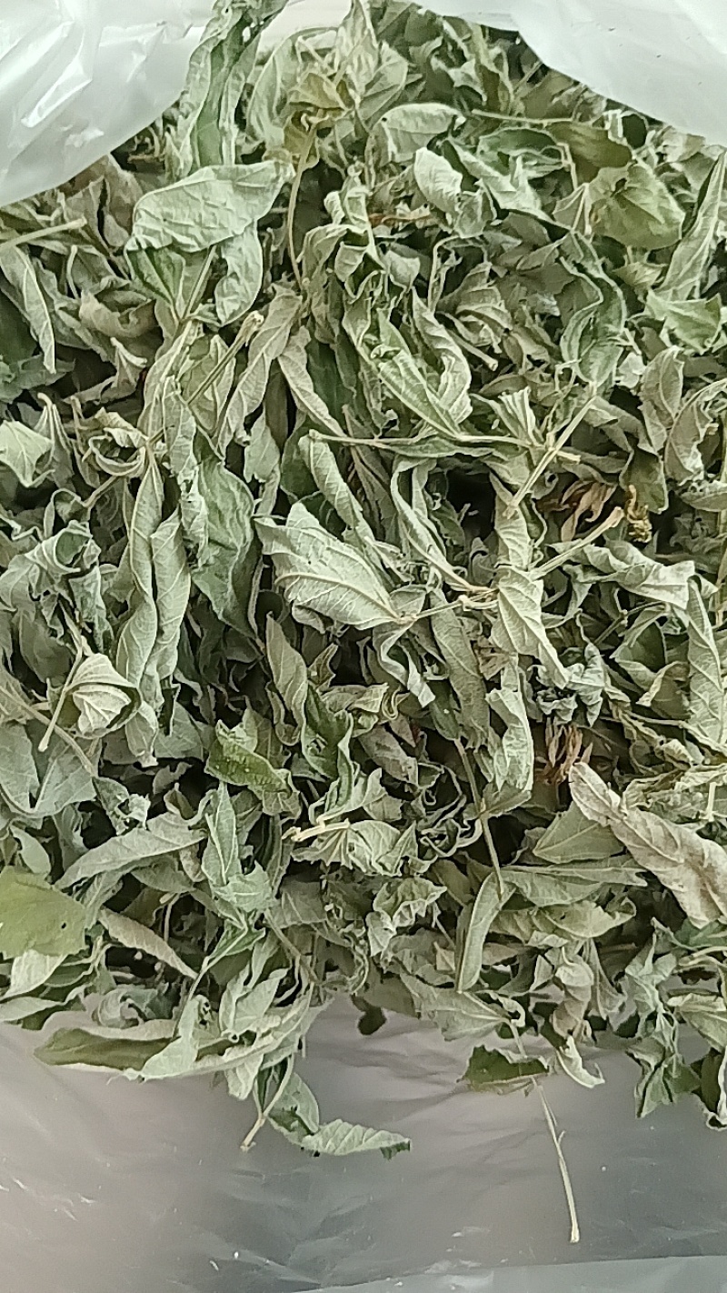 木豆叶粉云南红河大基地合作社种植***