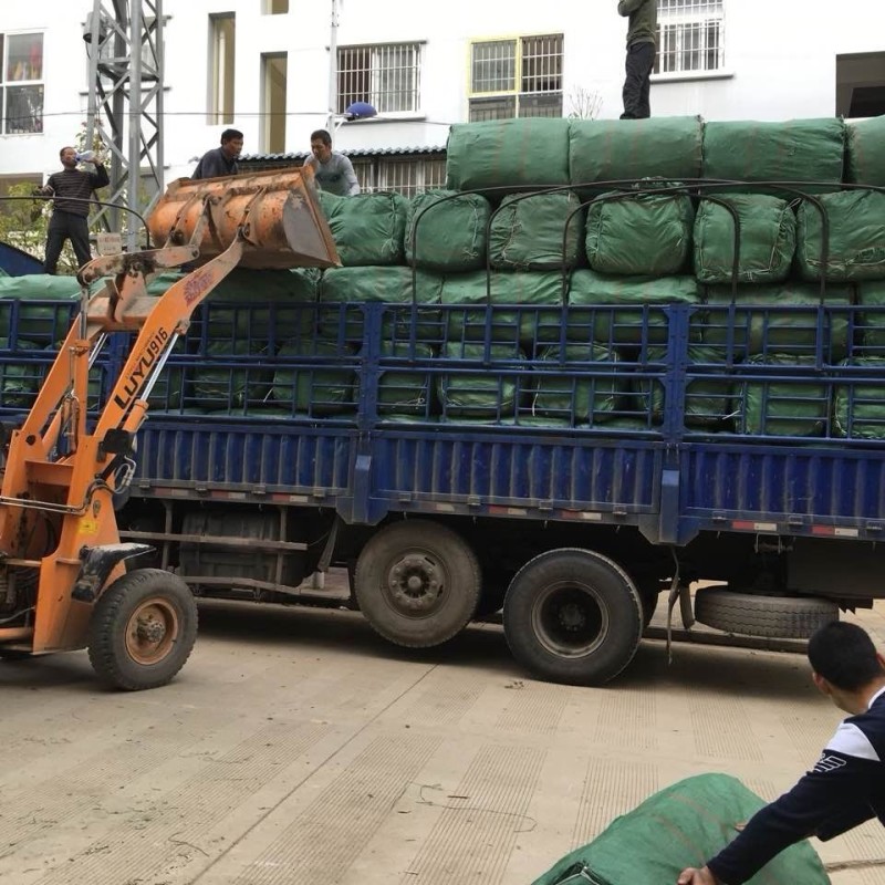 木豆叶粉云南红河大基地合作社种植***