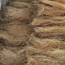 徐长卿全苗干货发货全国质量保证品质好发货快