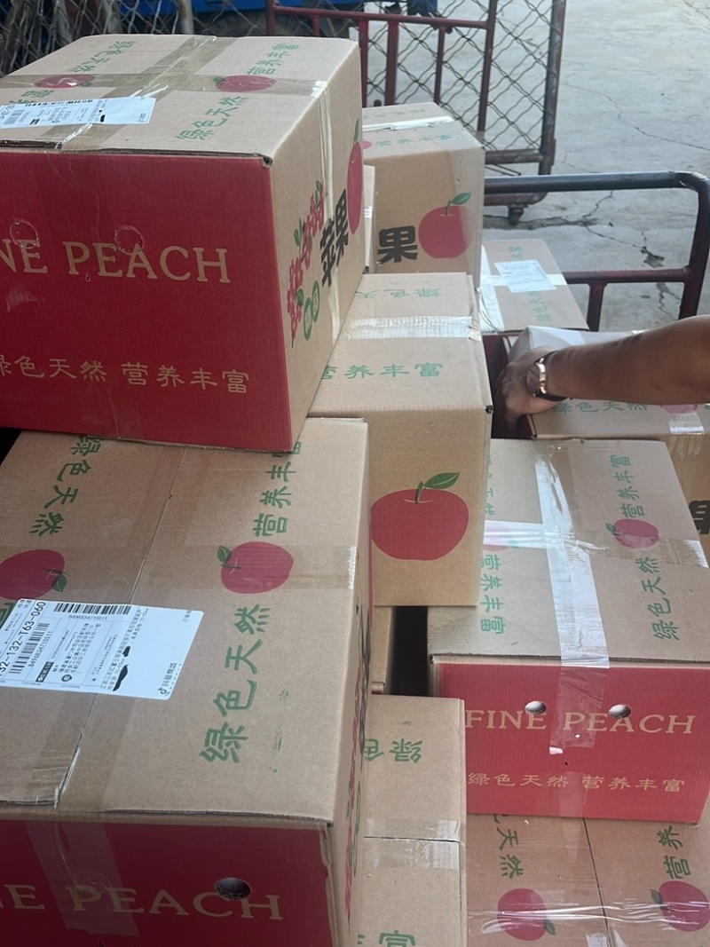 山东红富士苹果