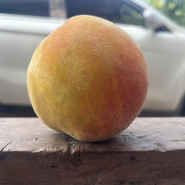 黄桃