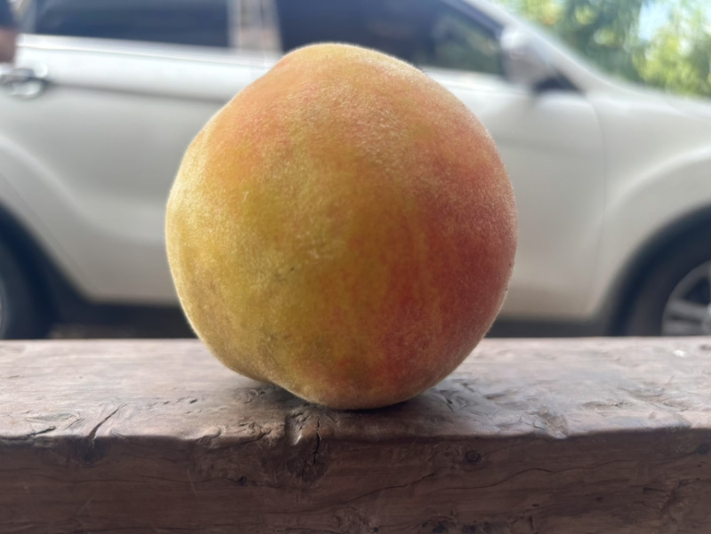 黄桃