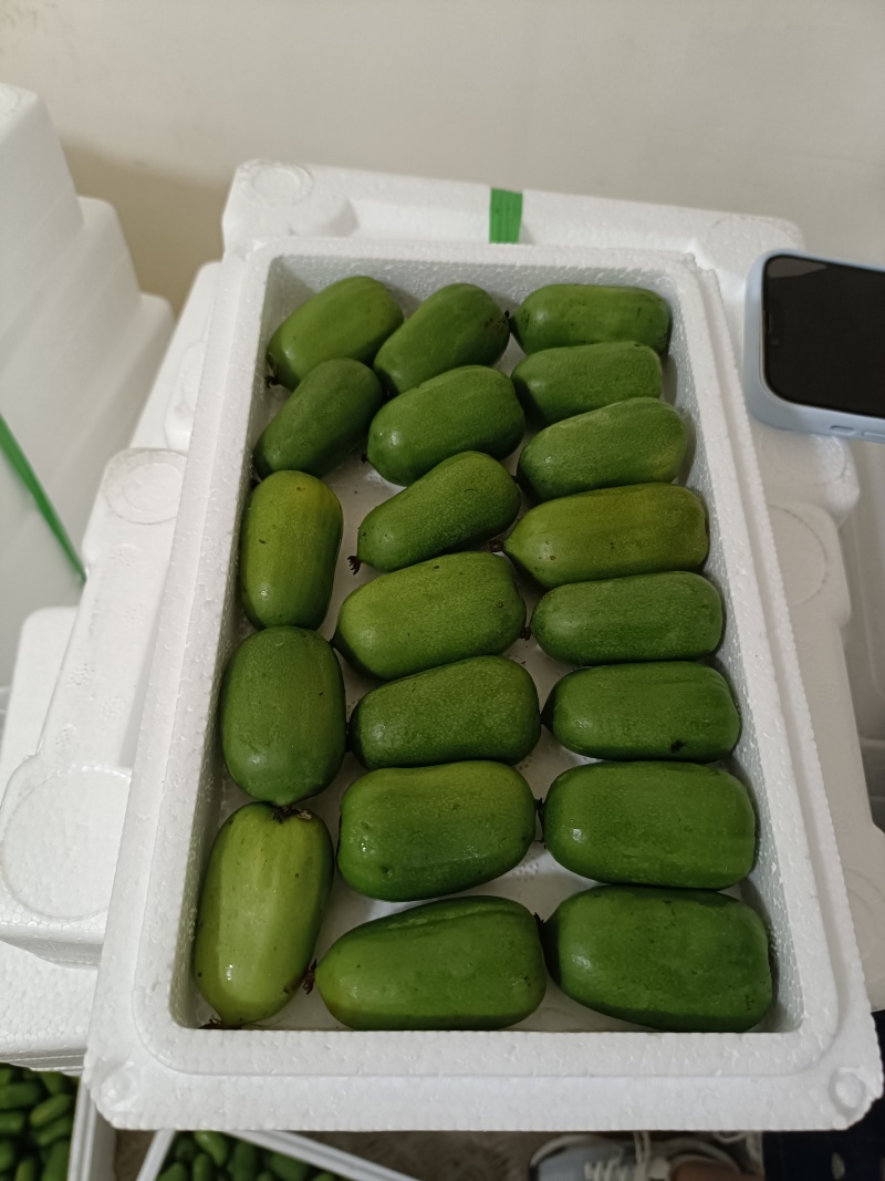 批发价头茬新鲜软枣，猕猴桃，支持一件代发团购渠道
