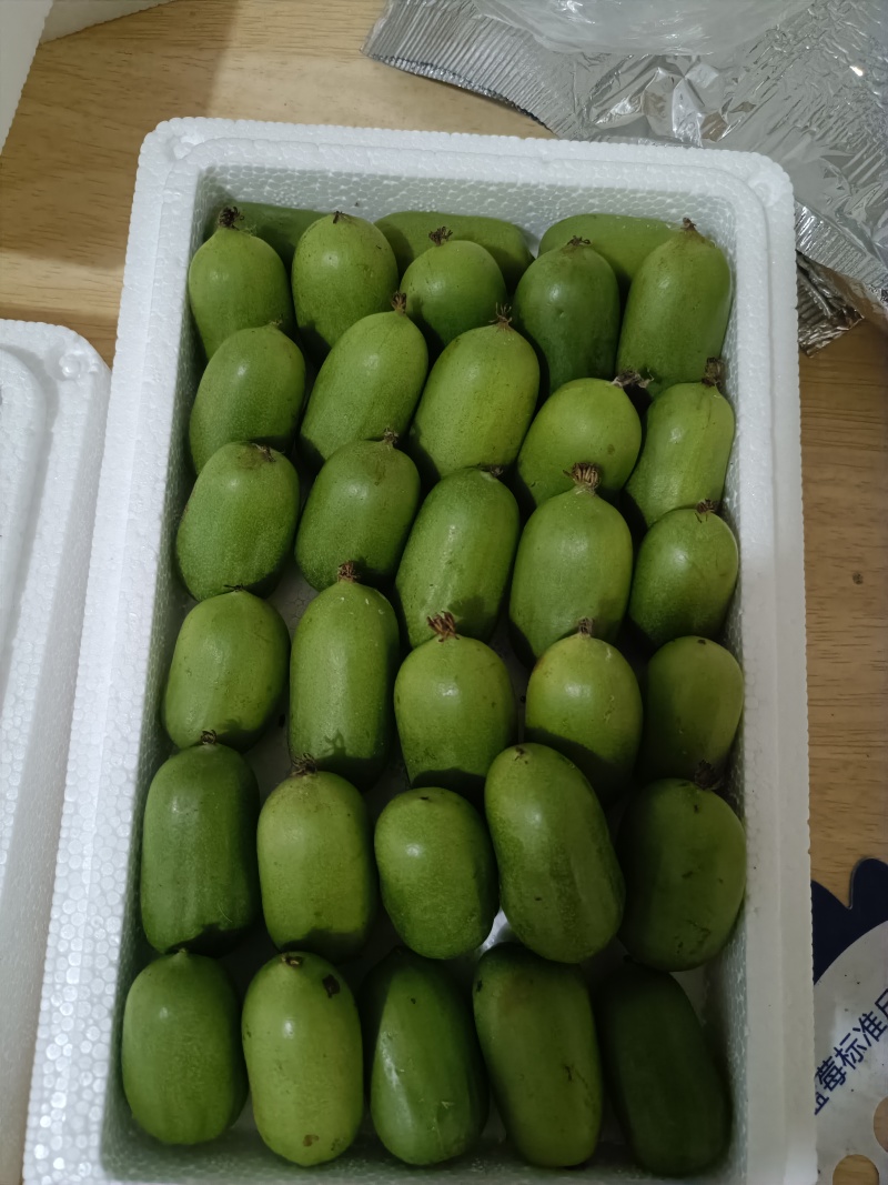 批发价头茬新鲜软枣，猕猴桃，支持一件代发团购渠道