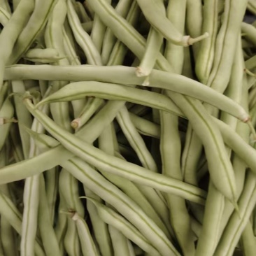 四季豆，架豆，绿豆角