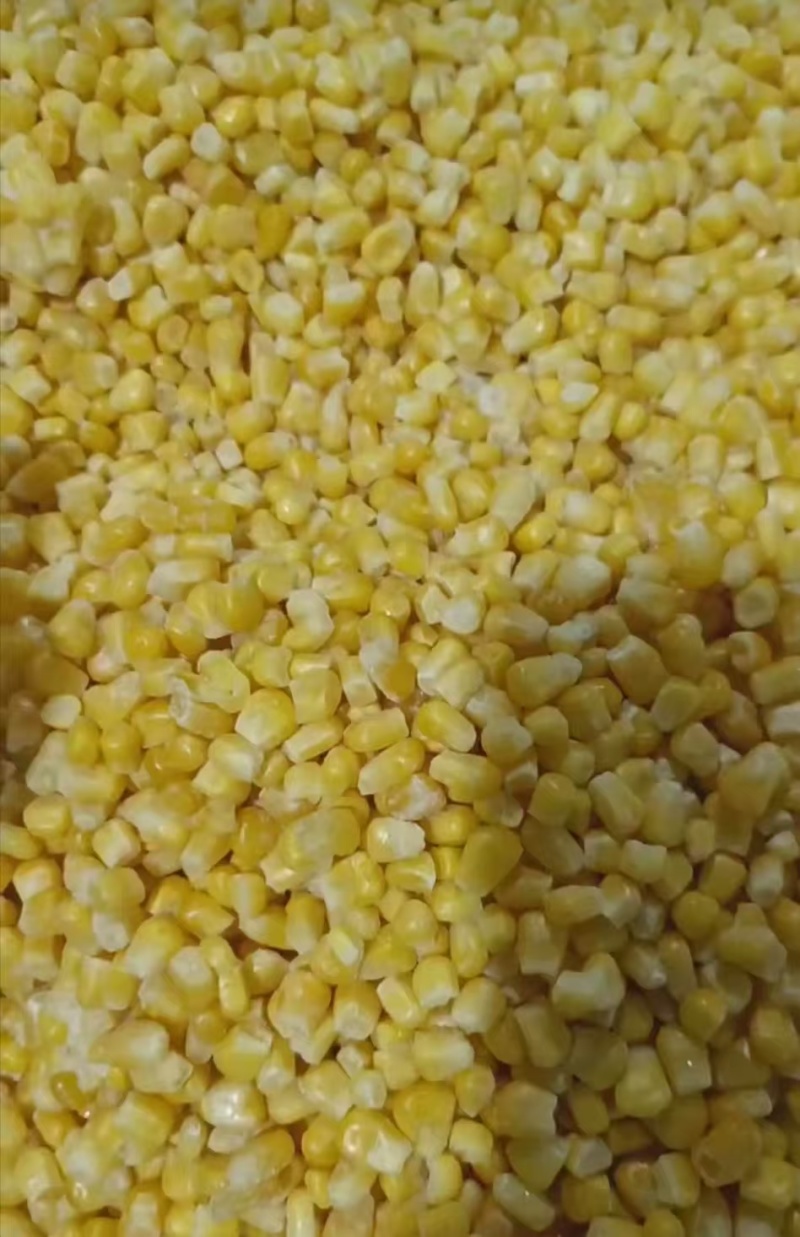 水果玉米粒903冻粒