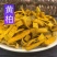 黄柏苗川黄柏苗厚皮大叶
