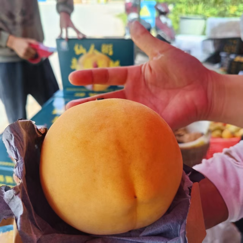 黄桃