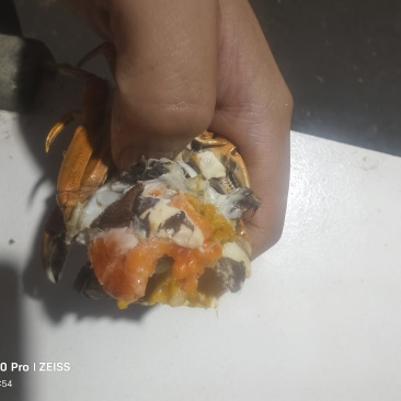 精品大闸蟹产地直发，包直达。当天发第二天到。30斤起