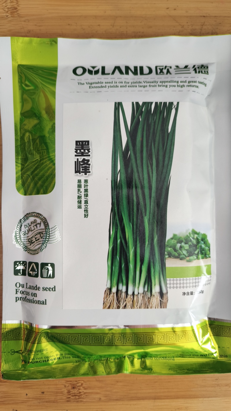 四季香葱种子欧兰德黑叶墨峰小香葱种子种籽高春夏秋蔬菜种子