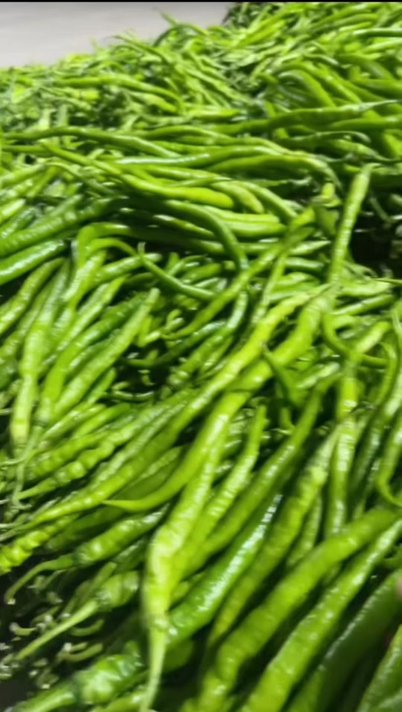辣椒
