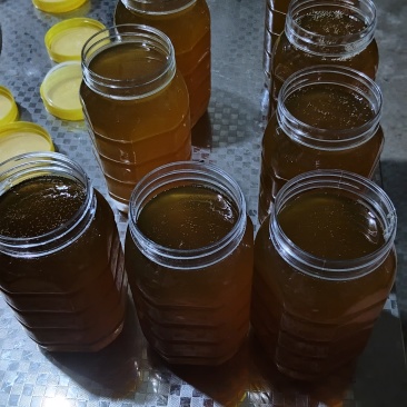 达州土蜂蜜