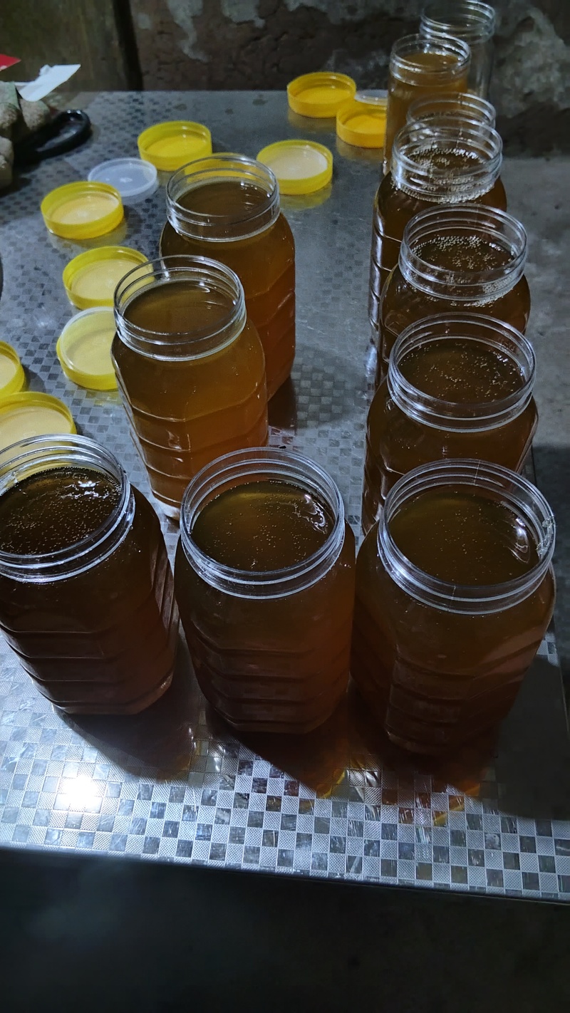 达州土蜂蜜