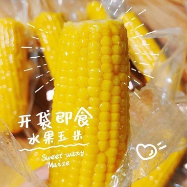 当季水果玉米电商**一件也是批发价量大优惠