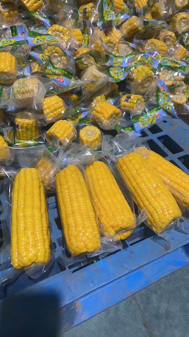 当季水果玉米电商**一件也是批发价量大优惠