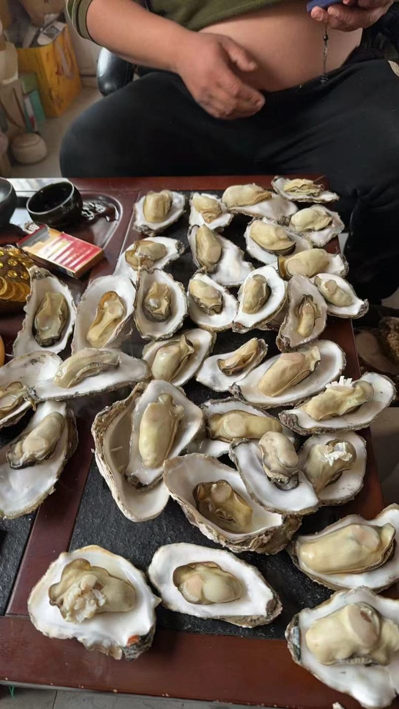 生蚝一手货源价格便宜要的老板联系我纯一手货源