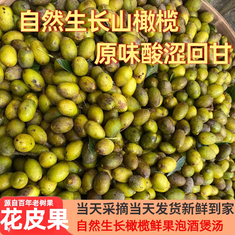 广东潮州饶平花皮橄榄，工厂果，市场果供应中
