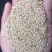 芝麻、熟芝麻大量批发