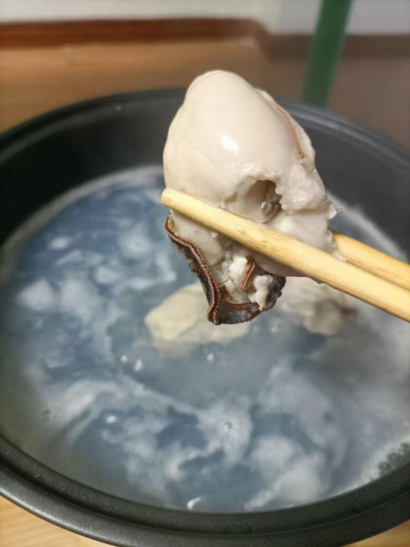 生蚝一手货源价格便宜要的老板联系我纯一手货源