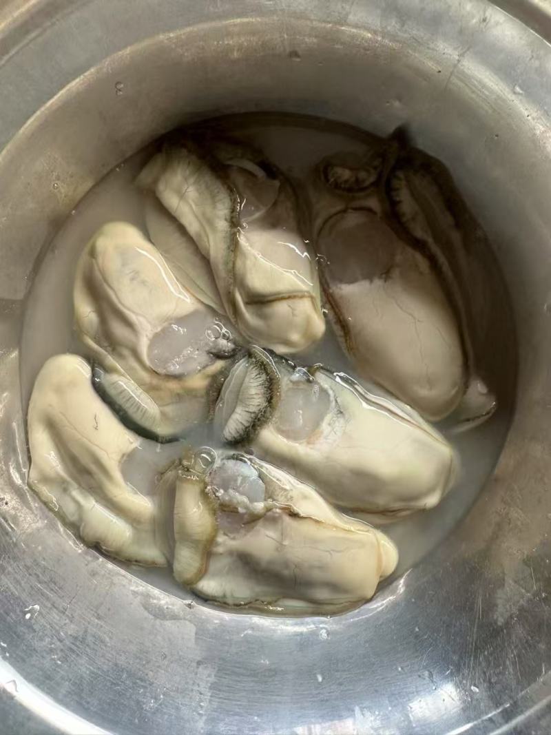 生蚝一手货源价格便宜要的老板联系我纯一手货源