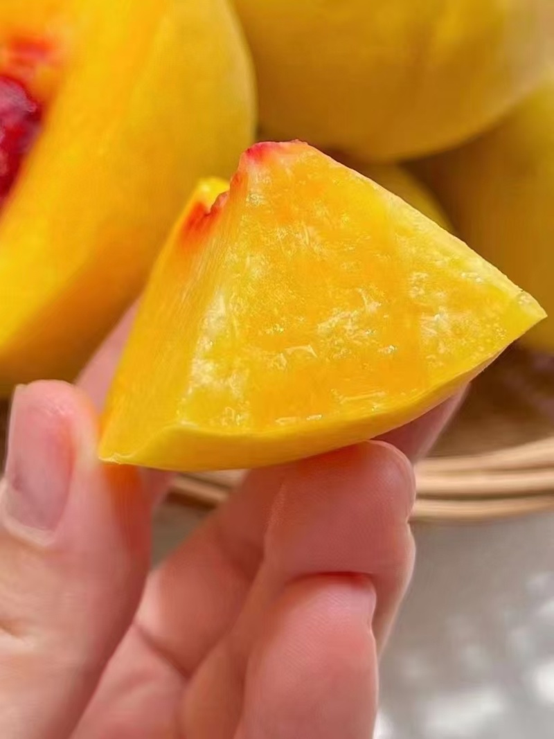山东沂蒙山锦绣黄桃黄毛桃黄金绣黄桃大量上市中色泽亮