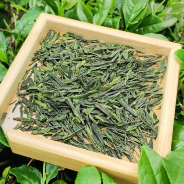 云南施甸富硒白茶纯原料