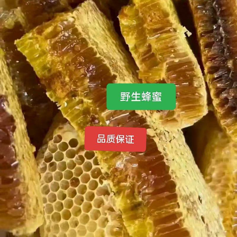 野生蜂蜜