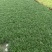 【量大优惠】江苏玉龙草托盘品质保障对接全国批发