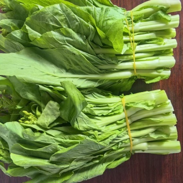 【推荐】宁夏白菜苔/视频看货/对接商超批发市场