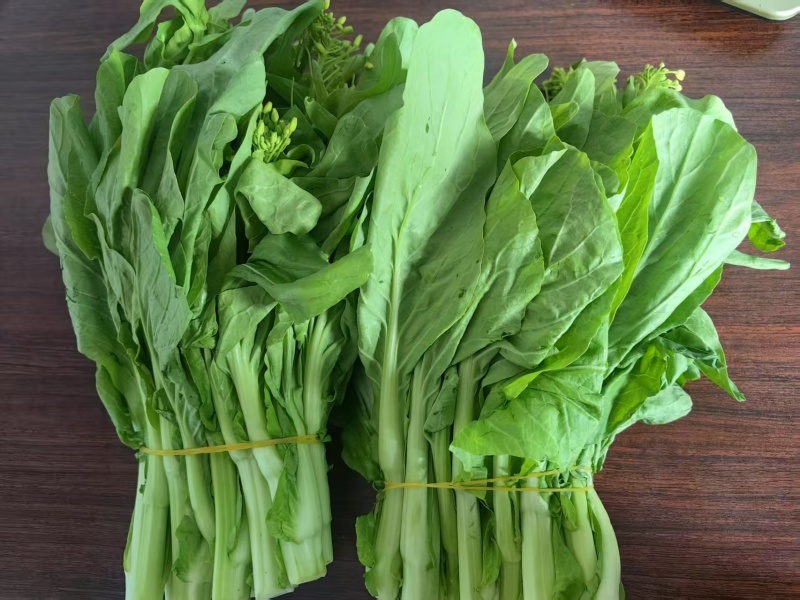 【推荐】宁夏白菜苔/视频看货/对接商超批发市场