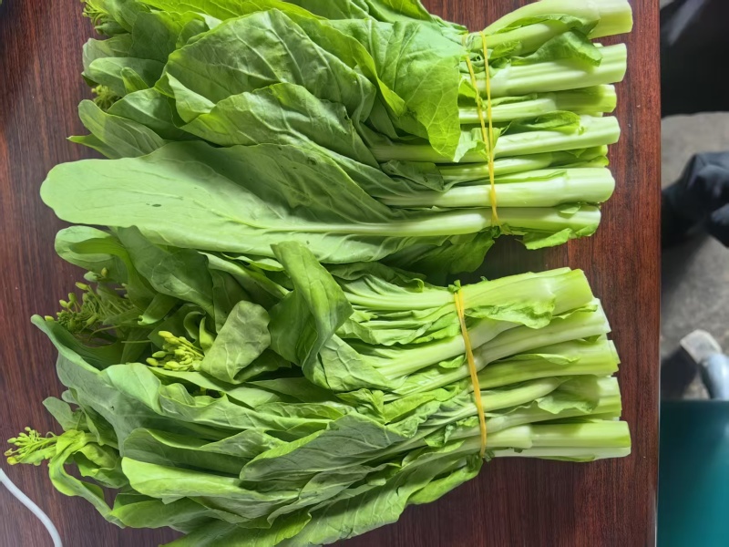 【推荐】宁夏白菜苔/视频看货/对接商超批发市场