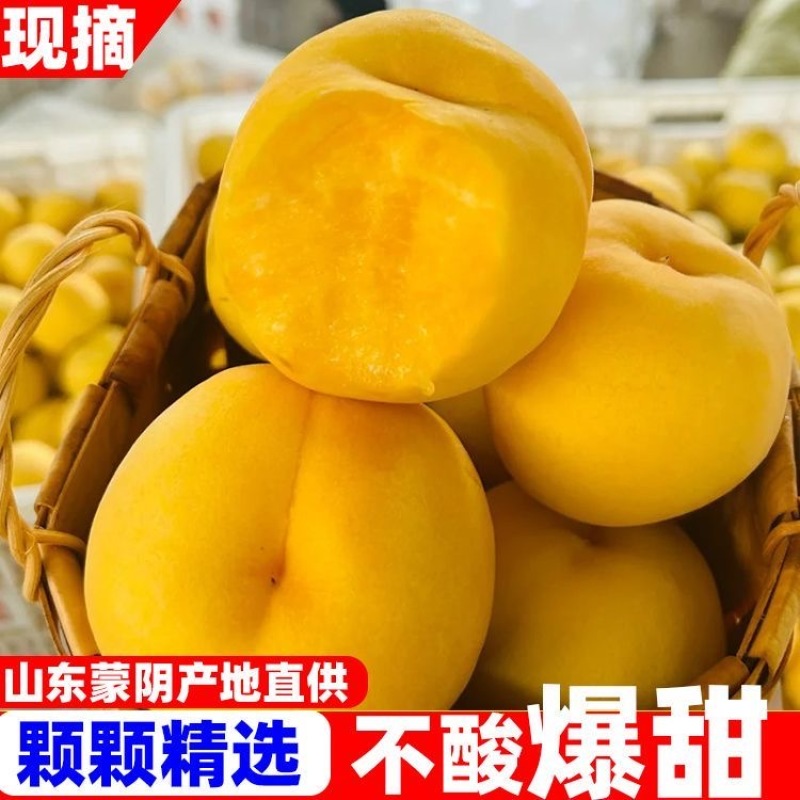 【黄毛桃】产地果园直供对接电商批发市场，商超等