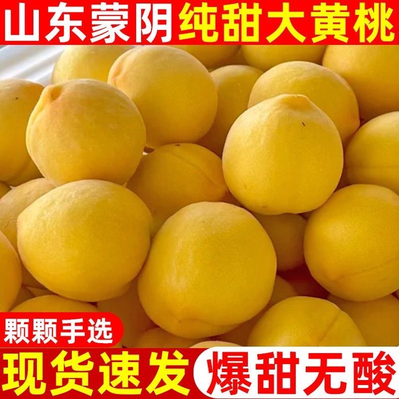 【黄毛桃】产地果园直供对接电商批发市场，商超等