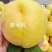 【黄毛桃】产地果园直供对接电商批发市场，商超等